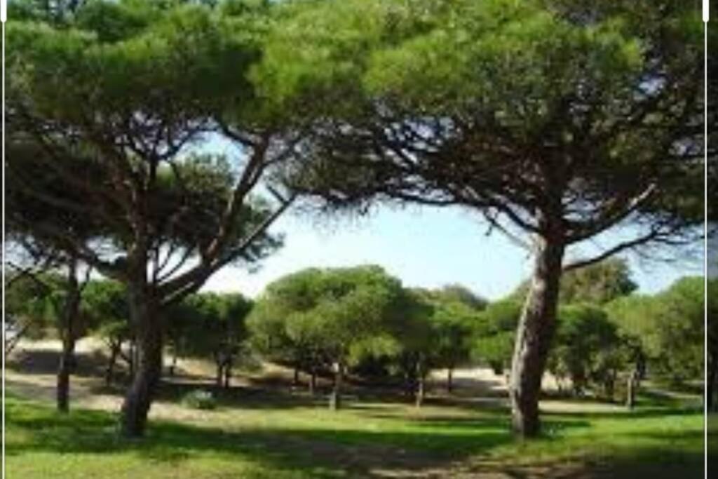 Appartement Acogedor Apartamento A 100 M. De Pinares Y Playa à Rota Extérieur photo