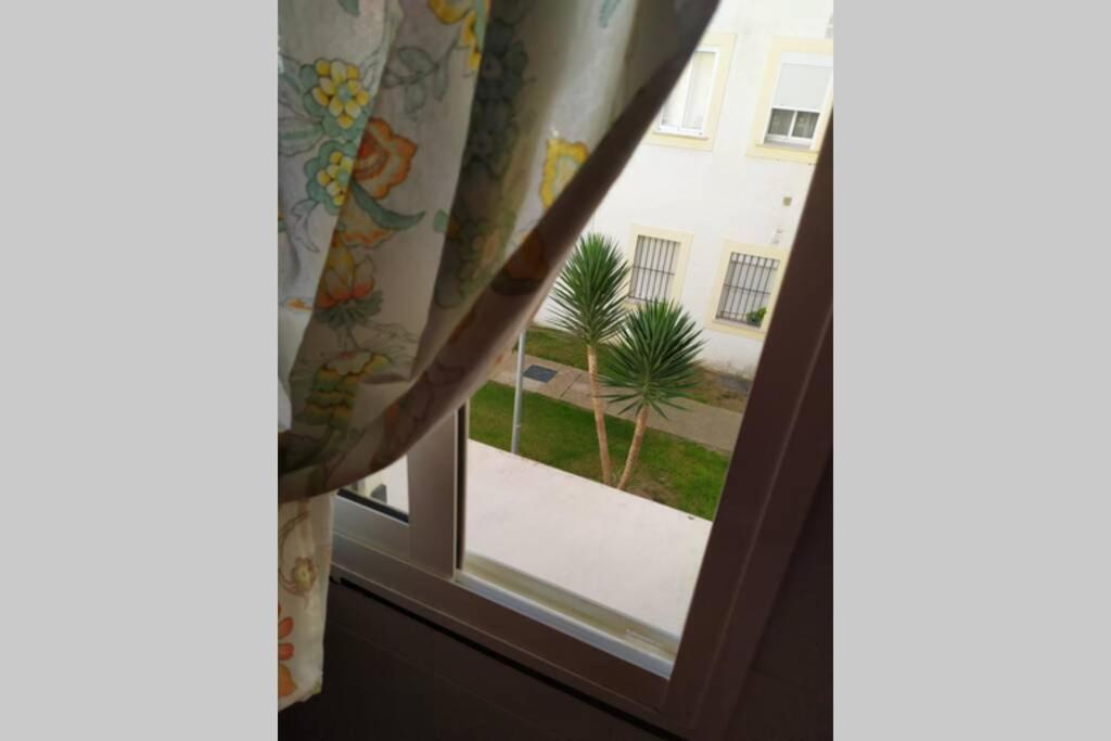 Appartement Acogedor Apartamento A 100 M. De Pinares Y Playa à Rota Extérieur photo