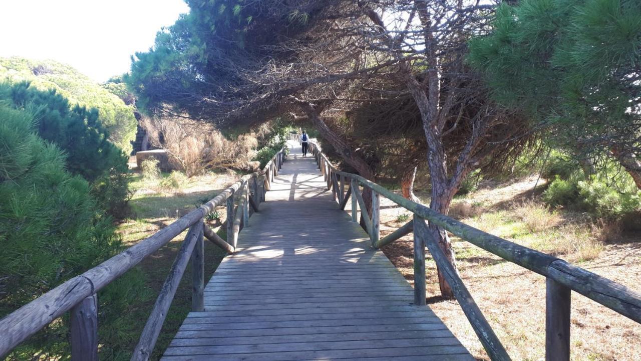 Appartement Acogedor Apartamento A 100 M. De Pinares Y Playa à Rota Extérieur photo