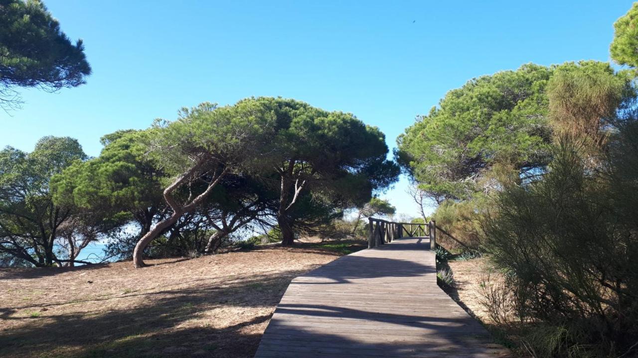 Appartement Acogedor Apartamento A 100 M. De Pinares Y Playa à Rota Extérieur photo