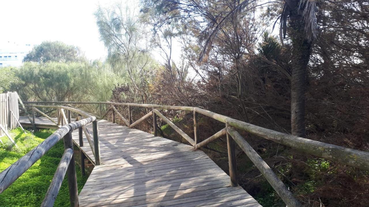Appartement Acogedor Apartamento A 100 M. De Pinares Y Playa à Rota Extérieur photo